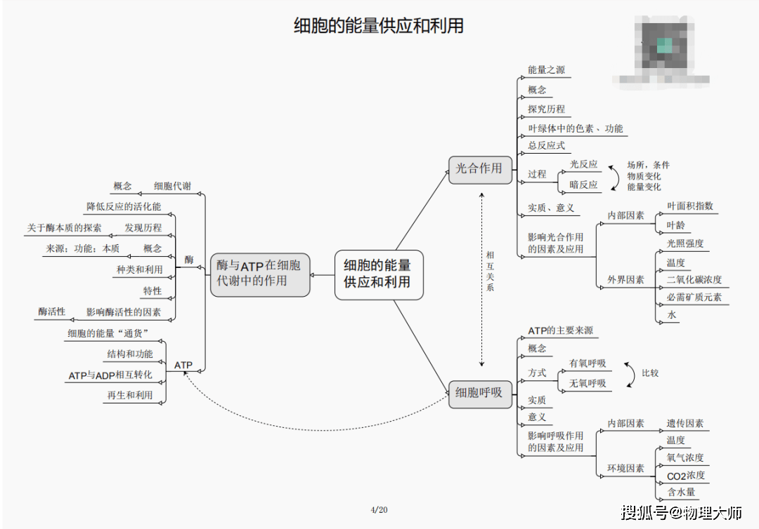 三肖必中三期必出资料最新一期免费资料下载详解