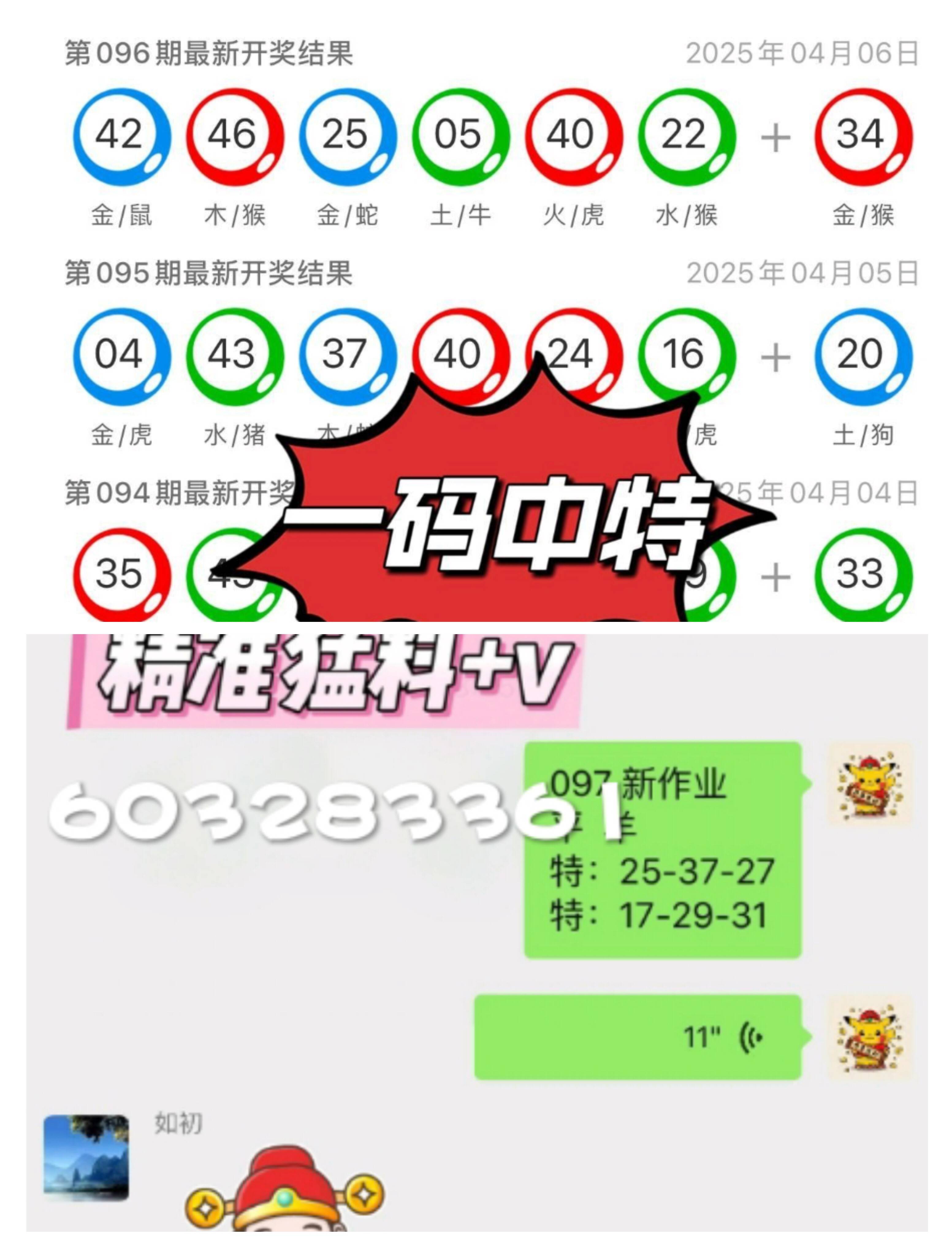 澳门王中王的未来展望与专家解读，深入解析2025年的资料